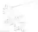Fig. 112 - Immunomodulators