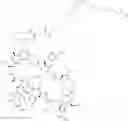 Fig. 145 - Immunomodulators