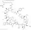 Fig. 167 - Immunomodulators