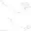 Fig. 191 - Immunomodulators