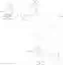 Fig. 209 - Immunomodulators
