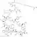 Fig. 236 - Immunomodulators
