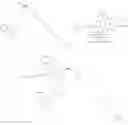 Fig. 239 - Immunomodulators