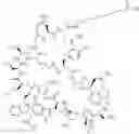 Fig. 247 - Immunomodulators