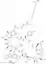 Fig. 248 - Immunomodulators