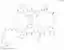 Fig. 25 - Immunomodulators