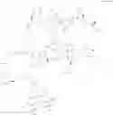 Fig. 26 - Immunomodulators