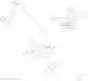Fig. 265 - Immunomodulators