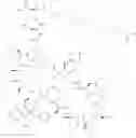 Fig. 303 - Immunomodulators