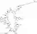 Fig. 338 - Immunomodulators