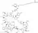Fig. 339 - Immunomodulators