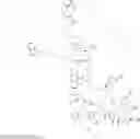 Fig. 387 - Immunomodulators