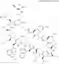 Fig. 421 - Immunomodulators