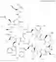 Fig. 428 - Immunomodulators