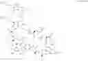 Fig. 43 - Immunomodulators