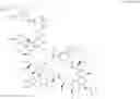 Fig. 47 - Immunomodulators