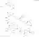 Fig. 49 - Immunomodulators