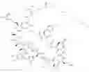 Fig. 71 - Immunomodulators