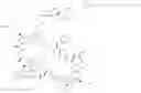 Fig. 93 - Immunomodulators