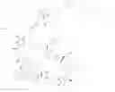 Fig. 95 - Immunomodulators