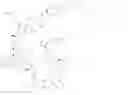 Fig. 99 - Immunomodulators