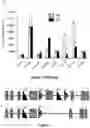 Fig. 04 - Peptides for treatment and prevention of hyperglycaemia