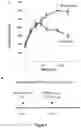 Fig. 12 - Peptides for treatment and prevention of hyperglycaemia