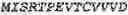 Fig. 04 - Heterodimeric proteins for modulating gamma delta T cells