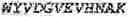 Fig. 06 - Heterodimeric proteins for modulating gamma delta T cells