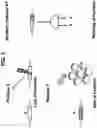 Fig. 03 - NUCLEIC ACIDS THAT MANIPULATE IMMUNE PATHWAYS