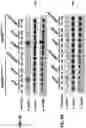 Fig. 10 - NUCLEIC ACIDS THAT MANIPULATE IMMUNE PATHWAYS