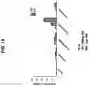 Fig. 19 - NUCLEIC ACIDS THAT MANIPULATE IMMUNE PATHWAYS
