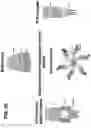 Fig. 30 - NUCLEIC ACIDS THAT MANIPULATE IMMUNE PATHWAYS