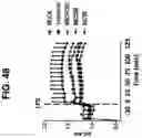 Fig. 49 - NUCLEIC ACIDS THAT MANIPULATE IMMUNE PATHWAYS
