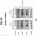 Fig. 65 - NUCLEIC ACIDS THAT MANIPULATE IMMUNE PATHWAYS