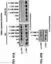 Fig. 68 - NUCLEIC ACIDS THAT MANIPULATE IMMUNE PATHWAYS