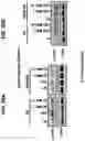 Fig. 69 - NUCLEIC ACIDS THAT MANIPULATE IMMUNE PATHWAYS