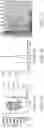 Fig. 02 - Fusion Tags For Recombinant Protein Expression