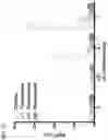 Fig. 23 - Generalized Extracellular Molecule Sensor