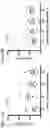 Fig. 28 - Generalized Extracellular Molecule Sensor