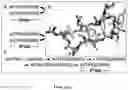 Fig. 06 - Integrin Antagonists
