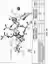 Fig. 10 - Integrin Antagonists