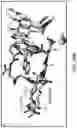 Fig. 17 - Integrin Antagonists