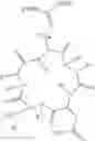 Fig. 19 - Integrin Antagonists