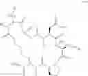 Fig. 22 - Integrin Antagonists