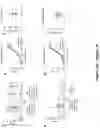 Fig. 04 - DNA-encoded monoclonal antibodies targeting the Ebolavirus glycoprotein