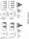 Fig. 05 - DNA-encoded monoclonal antibodies targeting the Ebolavirus glycoprotein