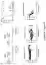 Fig. 08 - DNA-encoded monoclonal antibodies targeting the Ebolavirus glycoprotein