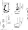 Fig. 12 - DNA-encoded monoclonal antibodies targeting the Ebolavirus glycoprotein
