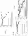 Fig. 09 - Compositions comprising AAV expressing dual antibody constructs and uses thereof